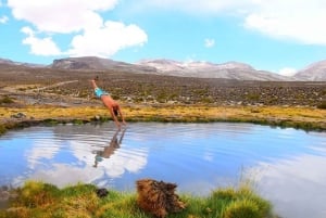 Из Арекипы: Экскурсия в лагуну Салинас