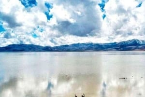 Из Арекипы: Экскурсия в лагуну Салинас