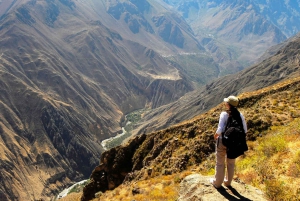 From Arequipa: Full Day Colca Canyon Tour