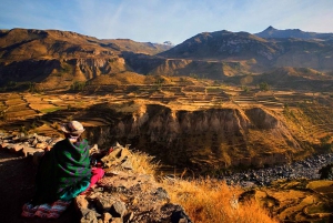 From Arequipa: Full Day Colca Canyon Tour