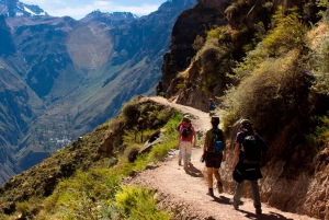 From Arequipa: Full Day Colca Canyon Tour