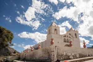 Vanuit Arequipa: dagvullende tour naar de Colca-vallei en de condors
