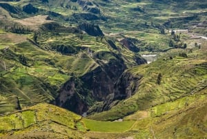 From Arequipa: Full Day Tour of Colca Canyon with Breakfast