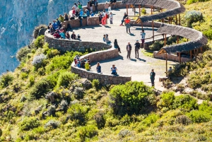 From Arequipa: Guided tour of the Colca Canyon with meals
