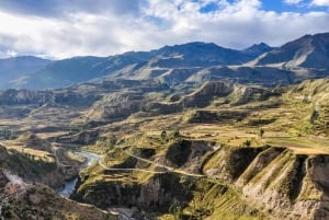 From Arequipa: Guided tour of the Colca Canyon with meals