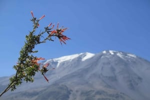 Arequipan puolen päivän vaellus Misti-tulivuorelle