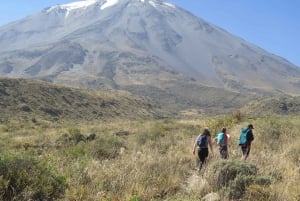 Arequipan puolen päivän vaellus Misti-tulivuorelle