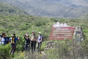 Arequipan puolen päivän vaellus Misti-tulivuorelle