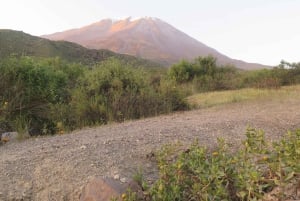 Arequipan puolen päivän vaellus Misti-tulivuorelle