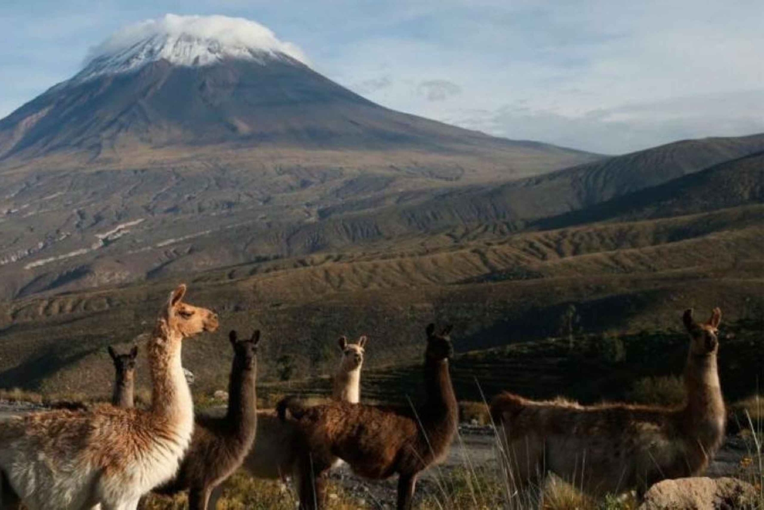 From Arequipa: Misti Volcano Trekking - 2 days