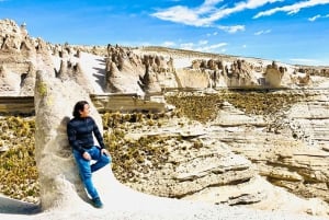 Fra Arequipa: Dagstur til Pillones-vandfaldet og stenskoven