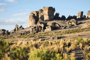 Desde Arequipa: Excursión de un día a la Cascada de Pillones y al Bosque de Piedras
