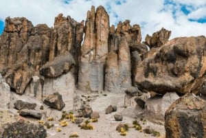 Da Arequipa: Strada per la cascata di Pillones