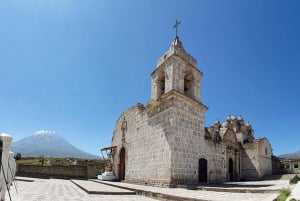 From Arequipa: Salinas and Aguada Blanca Reserve Tour