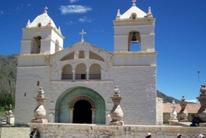 Fra Arequipa: Tur til Colca Canyon 2 dage 1 nat