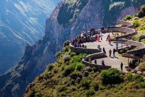 Desde Arequipa: Excursión al Cañón del Colca + Traslado a Cusco