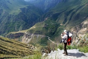 Da Arequipa: Tour del Canyon del Colca+Trasferimento a Cusco