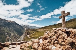 Da Arequipa: Tour del Canyon del Colca+Trasferimento a Cusco