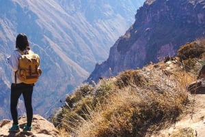 Da Arequipa: Trasporto da Arequipa a Cabanaconde con colazione