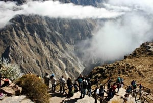 Da Arequipa: Trasporto da Arequipa a Cabanaconde con colazione