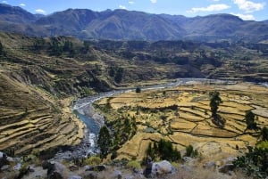 Da Arequipa: Trasporto da Arequipa a Cabanaconde con colazione