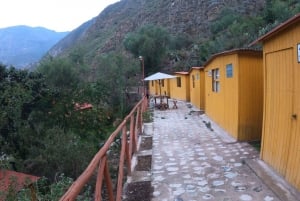 Trek vanuit Arequipa: 2 dagen wandelen in de Colca Canyon