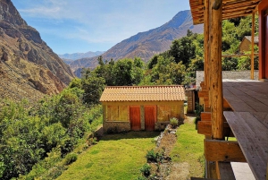 Trek vanuit Arequipa: 2 dagen wandelen in de Colca Canyon
