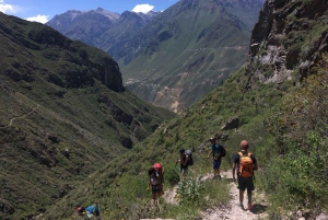 From Arequipa: Two-day hike through the Colca Canyon