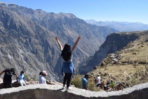 From Cabanaconde: Geothermal Hike to the Valley of the Geysers