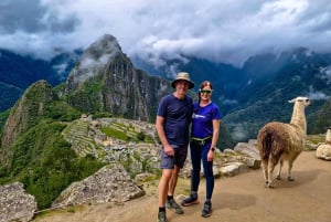 Fra Cusco: 1-dagers tur til Machu Picchu med tog