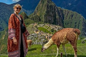 Fra Cusco: 1-dagers tur til Machu Picchu med tog