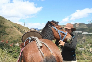 From Cusco: 2.5-Hour Temple of the Moon Horseback Ride