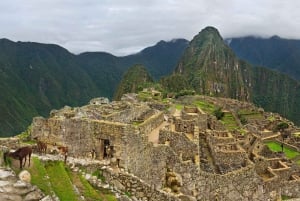 Cusco: 2 päivän retki Machu Picchulle