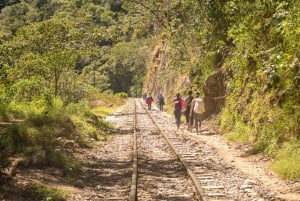 From Aguas Calientes: Machu Picchu Ticket & Guided Tour