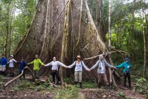 Fra Cusco: 3-dagers tur til den peruanske Amazonas med sovebuss og hytte