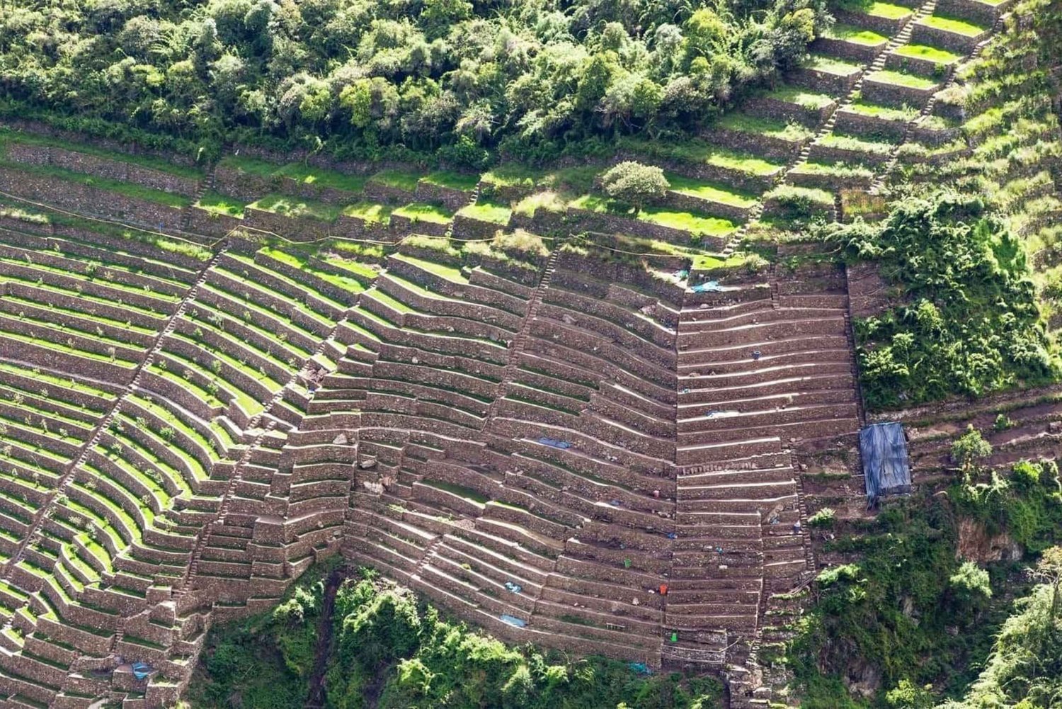 From Cusco: 4-Day Choquequirao Trek - All included