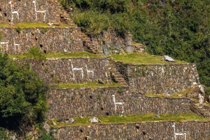 From Cusco: 4-Day Choquequirao Trek - All included
