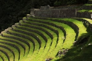 Fra Cusco: 4-dages guidet trek på Inkastien til Machu Picchu