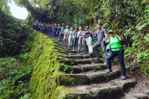 From Cusco: 4-Day Inca Trail Guided Trek to Machu Picchu