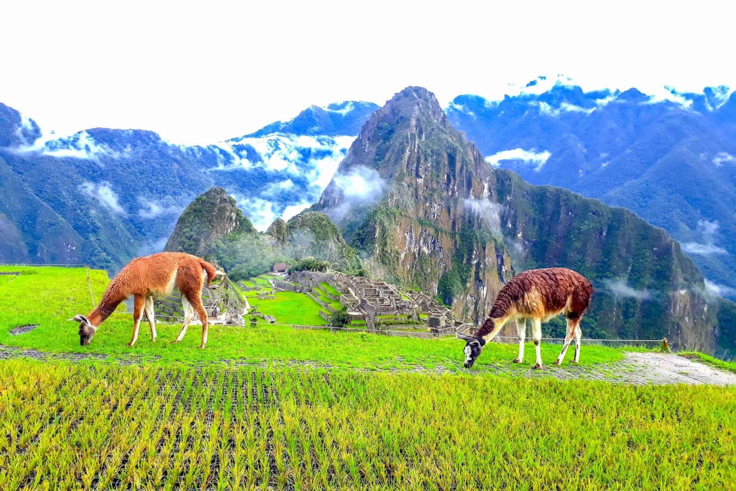 De Cusco: trilha inca de 4 dias para Machu Picchu em grupos pequenos