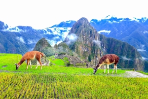 Vanuit Cusco: 4-daagse Inca-trail naar Machu Picchu in kleine groepen
