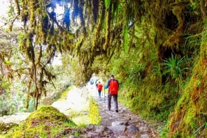 Vanuit Cusco: 4-daagse Inca-trail naar Machu Picchu in kleine groepen