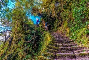 Vanuit Cusco: 4-daagse Inca-trail naar Machu Picchu in kleine groepen