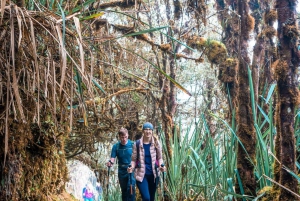 Vanuit Cusco: 4-daagse Inca-trail naar Machu Picchu in kleine groepen