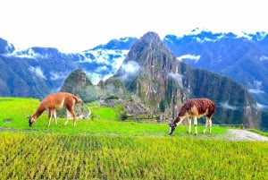 De Cusco: trilha inca de 4 dias para Machu Picchu em grupos pequenos