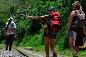 Desde Cusco: Excursión de 4 días de Salkantay a Machu Picchu con comidas