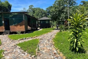 Från Cusco: 5 dagar av utforskning och samhörighet i Manu-reservatet