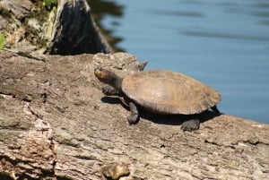 From Cusco: 5 Days of Exploration and Connection in the Manu Reserved Zone