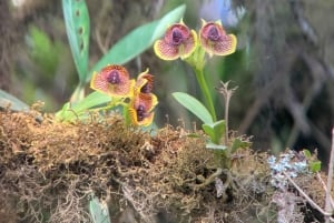 From Cusco: 5 Days of Exploration and Connection in the Manu Reserved Zone