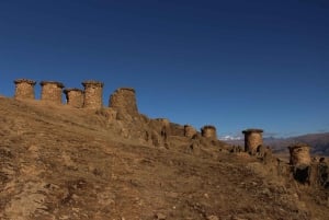 From Cusco: 5 Days of Exploration and Connection in the Manu Reserved Zone